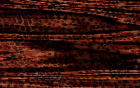 Download Abstract Animal Skin Texture Backgrounds - Animal skin Collection