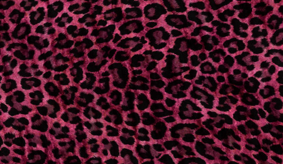 Download Abstract Animal Skin Texture Backgrounds - Animal skin Collection