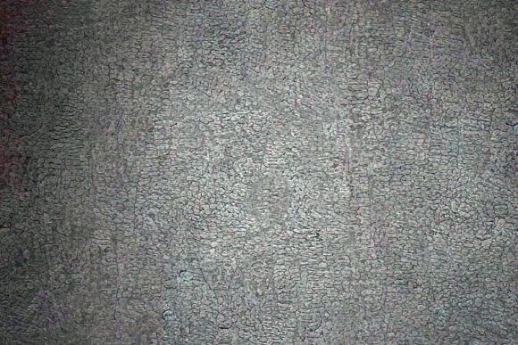 Download Textured Animal Skin Background - Animal skin Collection